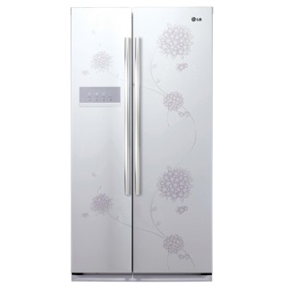 Tủ lạnh LG 03