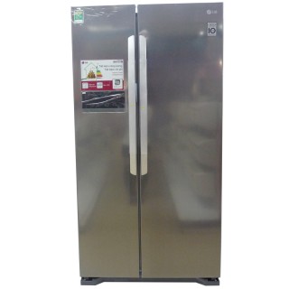 Tủ lạnh LG SBS 01 